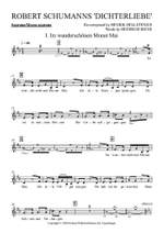 Henrik Hellstenius: Dichterliebe (2020) Product Image