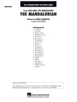 The Mandalorian Product Image