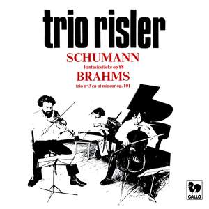 Schumann: Fantasiestücke Op. 88 - Brahms: Piano Trio No. 3 in C Minor, Op. 101 Product Image