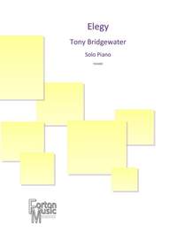 Tony Bridgewater: Elegy
