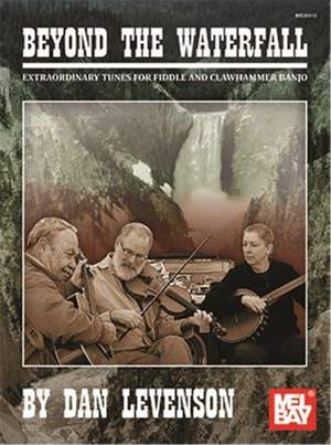 Dan Levenson: Beyond the Waterfall