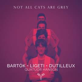 Not All Cats Are Grey At Night