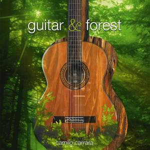 Guitar & Forest