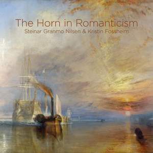 The Horn in Romanticism Product Image