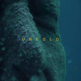 Unfold