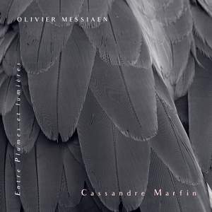 Messiaen: Entre plumes et lumières