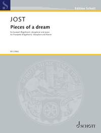 Jost, C: Pieces of a dream
