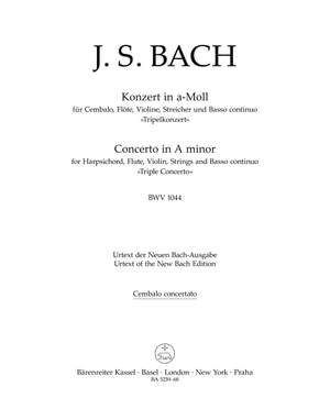 Johann Sebastian Bach: Concerto in A minor BWV 1044