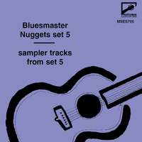 Bluesmaster Nuggets Sampler Sets, Set 5