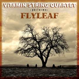 Vsq Performs Flyleaf