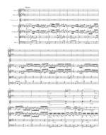 Haydn, Joseph: Symphony in E minor Hob. I:44 "Trauersinfonie" Product Image