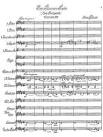Pfitzner, Hans: Der Blumen Rache for orchestra for female choir, alto solo and orchestra Product Image