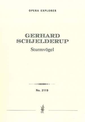 Schjelderup, Gerhard: Sturmvögel Sturmvögel