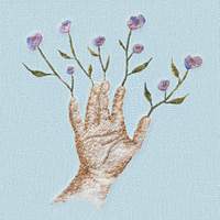 Crocus