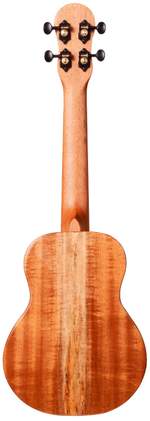 Barnes & Mullins Concert Ukulele Solid Spruce/Acacia Product Image