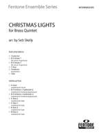 Christmas Lights Product Image