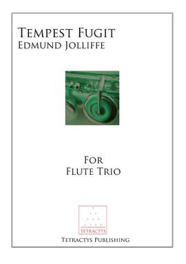 Edmund Jolliffe: Tempest Fugit