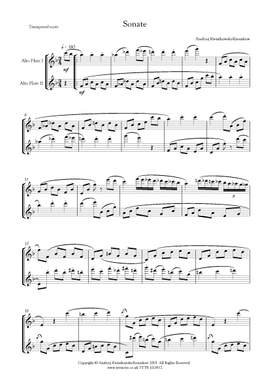 Andrzej Kwiatkowski-Kasnakow: Sonate