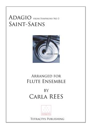 Saint-Saens: Adagio from Symphony No 3 Op. 78 (Organ)