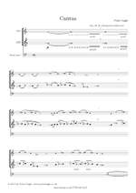 Peter Nagle: Cantus Product Image