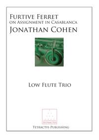 Jonathan Cohen: Furtive Ferret on Assignment in Casablanca