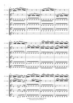 Telemann: Concerto E minor Product Image