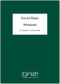 David Blake: Winelands