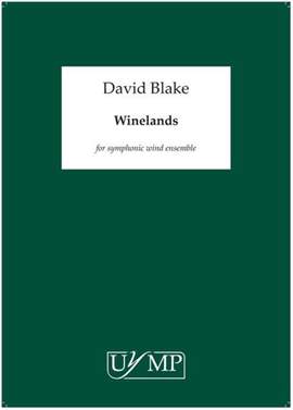 David Blake: Winelands