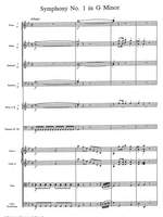 Méhul, Etienne Nicolas: Symphony No. 1 in G Minor Product Image