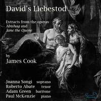 James Cook: David's Liebestod