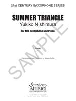 Yukiko Nishimura: Summer Triangle Product Image