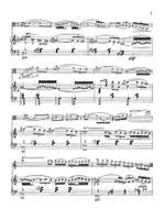 Raymond Baervoets: Rhapsody Product Image