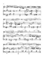 Raymond Baervoets: Rhapsody Product Image