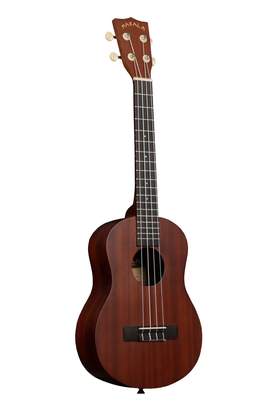 Kala Makala Classic Tenor Nickel Fret