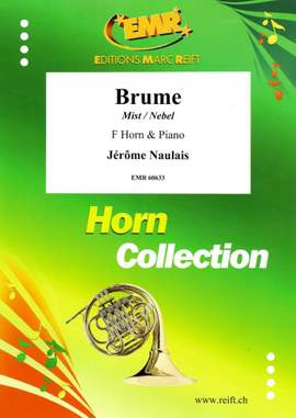 Jérôme Naulais: Brume