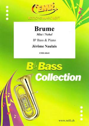 Jérôme Naulais: Brume