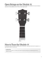 Do-It-Yourself Ukulele Product Image