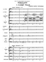 Schlemm, Gustav Adolf: Serenade for orchestra Product Image