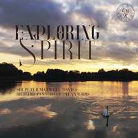 Exploring Spirit