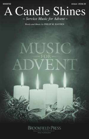 Philip M. Hayden: A Candle Shines