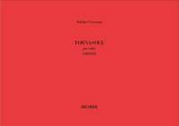 Stefano Gervasoni: Tornasole