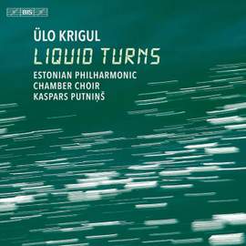 Ülo Krigul: Liquid Turns