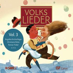 Volkslieder Vol. 3 (LIEDERPROJEKT)