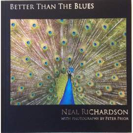 Better Than the Blues (cd + Hardback Book)