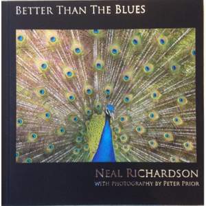 Better Than the Blues (cd + Hardback Book)