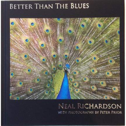 Better Than the Blues (cd + Hardback Book)