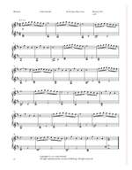 Howard, Luke: 28 Transcriptions for solo piano Product Image