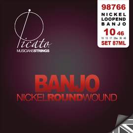 Picato 87ml Nickel 6 Banjo10-46 Loopend Set