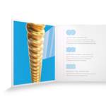 D'Addario: XS 80/20 Bronze Product Image
