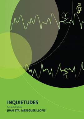 Juan B. Meseguer Llopis: Inquietudes